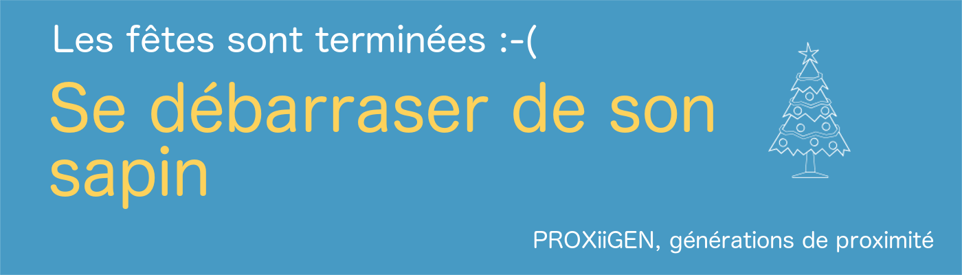 débarras sapin de noel